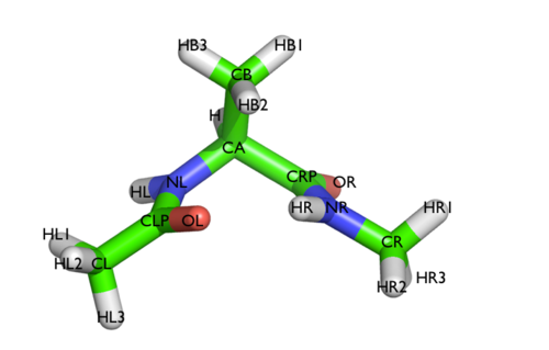 The molecule of the day: alanine dipeptide.