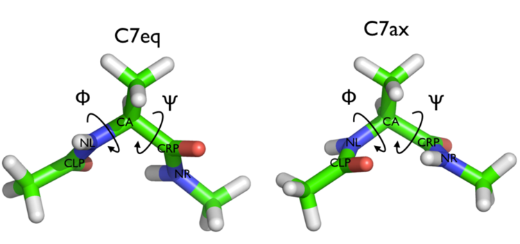 Two metastable states of alanine dipeptide are characterized by their Ramachandran dihedral angles.